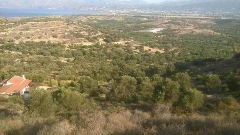 Kamilari Süd Kreta; Kamilari Grundstück mit Meerblick 10.000m² Grundstück kaufen